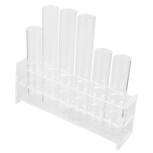 BESPORTBLE 1 Satz hydroponische Vase Reagenzglasvasen Korb Wasserkultur Blumenvase Glasröhrchen Pflanzenzucht zimmerpflanzen Schreibtischvase aus Glas Pflanzenstarter-Glasröhrchen Plastik von BESPORTBLE