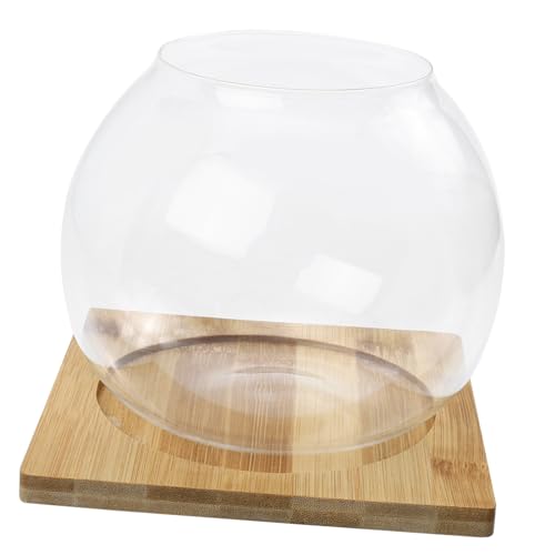 BESPORTBLE Landschaftsflasche Glas Blumentopf Kleine Fischschale Einfache Pflanzenterrarien Für Innen Und Außen Dekoration von BESPORTBLE