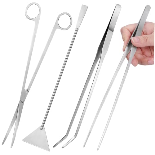 BESPORTBLE 1 Set Aquascaping Werkzeuge Edelstahl Aquarium Schere Wasser Pflanze Trimmer Fisch Tank Reinigung Kit Wasserpflanze Pflege BESPORTBLE 1 Set Aquascaping Werkzeuge Edelstahl Aquarium Schere Wasser Pflanze Trimmer Fisch Tank Reinigung Kit Wasserpflanze Pflege von BESPORTBLE