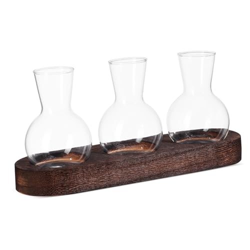 BESPORTBLE 1 Set Glasausbreitungsstation Hydroponischer Topf -Desktop -Glas -pflanzer Wasserausbreitung Pflanzer Klares Pflanzen -Terrarium Mit Basis von BESPORTBLE