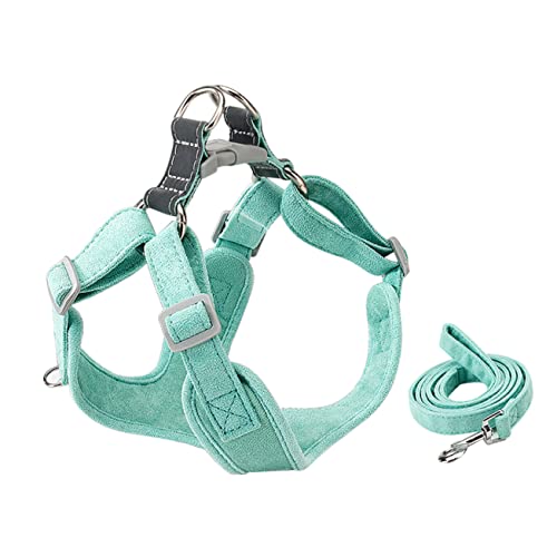 BESPORTBLE 2 Teiliges Set Aus Verstellbarem Verschleißfestem Geschirr Und Leine Für Kleine Hunde Bequeme Und Sichere Hundeleine Für Welpen Ideal Für Und Training Mintgrün von BESPORTBLE
