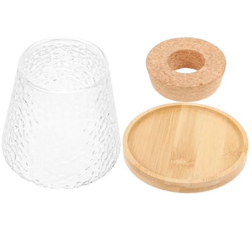 BESPORTBLE Avocado-sprossenvase Aus Zum Züchten Eigener Avocados Transparentes Sukkulenten-pflanzgefäß Für Blumenarrangements Und Dekoration BESPORTBLE Avocado-sprossenvase Aus Zum Züchten Eigener Avocados Transparentes Sukkulenten-pflanzgefäß Für Blumenarrangements Und Dekoration von BESPORTBLE