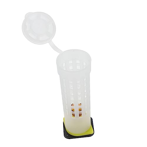 BESPORTBLE 1 Set Käfig Bienenkäfige Transportkäfig Futterspender Bienenstock Käfighalter Glas Bienenzucht Aufzuchtbecher Bienenstock Eingangsfutterspender Bienenhotel Nicht Veredelnder BESPORTBLE 1 Set Käfig Bienenkäfige Transportkäfig Futterspender Bienenstock Käfighalter Glas Bienenzucht Aufzuchtbecher Bienenstock Eingangsfutterspender Bienenhotel Nicht Veredelnder von BESPORTBLE