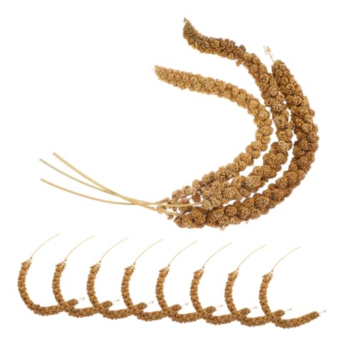 BESPORTBLE 1 Set Papageienfutter Natürliches Trockengetreidefutter Natürliches Vogelfutter Nymphensittich Vogelfutter Vogelkäfig Zubehör Sittichfutter Sittich Leckerlis Nymphensittich BESPORTBLE 1 Set Papageienfutter Natürliches Trockengetreidefutter Natürliches Vogelfutter Nymphensittich Vogelfutter Vogelkäfig Zubehör Sittichfutter Sittich Leckerlis Nymphensittich von BESPORTBLE
