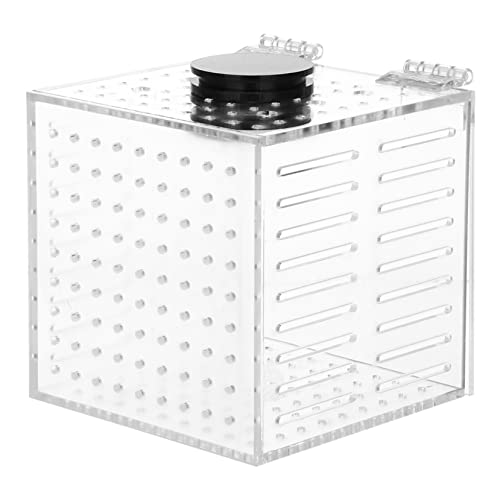 BESPORTBLE 1 Stück Fischzuchtbehälter Isolation Box für Babyfische im Aquarium Magnetische Halterung Multifunktionale Aufzuchtlösung zur Erhöhung Überlebensrate von Jungfischen BESPORTBLE 1 Stück Fischzuchtbehälter Isolation Box für Babyfische im Aquarium Magnetische Halterung Multifunktionale Aufzuchtlösung zur Erhöhung Überlebensrate von Jungfischen von BESPORTBLE