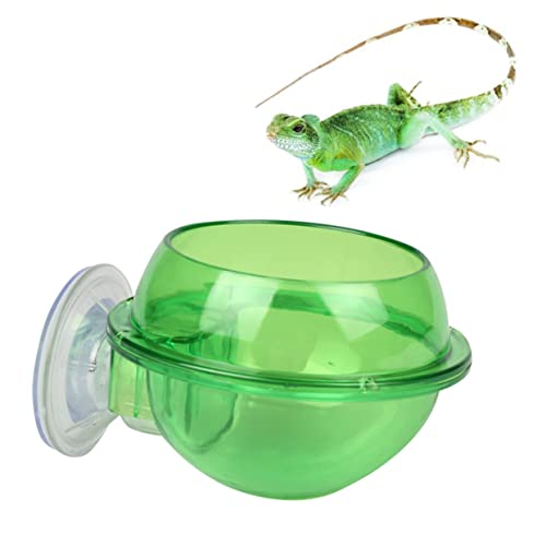 BESPORTBLE Robuster Futternapf Aus Abs für Reptilien für Eidechsen Schildkröten Haustiere Becher-Design Futter- und Wasserbehälter BESPORTBLE Robuster Futternapf Aus Abs für Reptilien für Eidechsen Schildkröten Haustiere Becher-Design Futter- und Wasserbehälter von BESPORTBLE