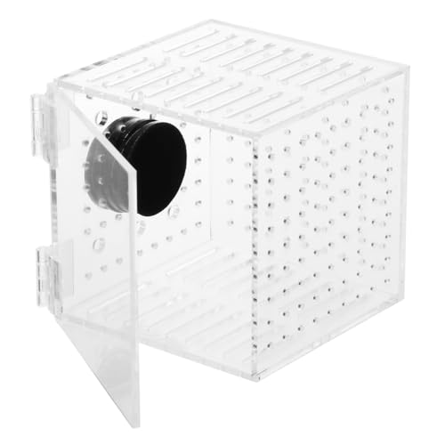 BESPORTBLE 1stück Fischisolationsbox Aquarien Brutbehälter Mit Magnetdesign Für Fischzucht Schützt Jungfische Vor Raubfischen Für Züchter Und Aquarienliebhaber BESPORTBLE 1stück Fischisolationsbox Aquarien Brutbehälter Mit Magnetdesign Für Fischzucht Schützt Jungfische Vor Raubfischen Für Züchter Und Aquarienliebhaber von BESPORTBLE