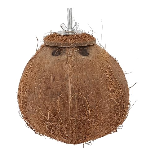 BESPORTBLE Kokosnussschalen Vögel Nest Spielzeug Für Papageien Vogelnest Haustier Papagei Beißspielzeug Naturmaterial Vögel Nest Kleine Spielzeug Leben Platzsparend von BESPORTBLE