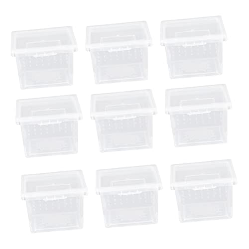 BESPORTBLE 10stücke Mini Futterbox Für Reptilien Zuchtbox Für Spinnen Eidechsen Frösche Und Kleine Tiere Praktische Und Sichere Fütterungslösung Mit Abdeckung BESPORTBLE 10stücke Mini Futterbox Für Reptilien Zuchtbox Für Spinnen Eidechsen Frösche Und Kleine Tiere Praktische Und Sichere Fütterungslösung Mit Abdeckung von BESPORTBLE