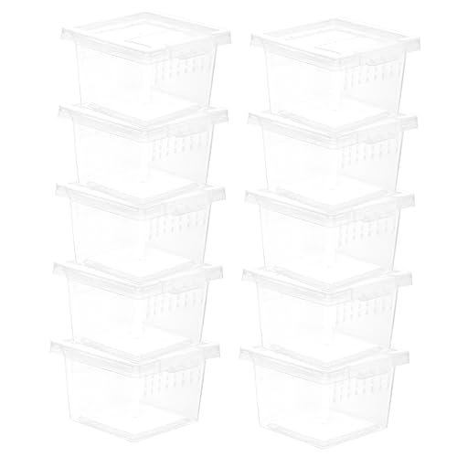 BESPORTBLE 10 Stück Schachtel Futterbox Für Reptilien Schildkrötengehege Reptilienhaut Spinnen-Terrarium Insektenfütterung Insektenbecken Klare Terrarien Bausatz Aquarium Transparent Plastik von BESPORTBLE