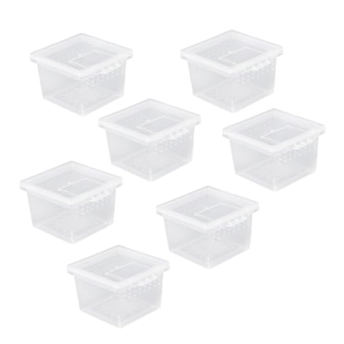 BESPORTBLE 10stücke Reptil Fütterungsbox Mini Behälter Für Spinnen Und Insekten Und Tragbares Terrarium Mit Belüftung Für Füttern Und Pflege von BESPORTBLE