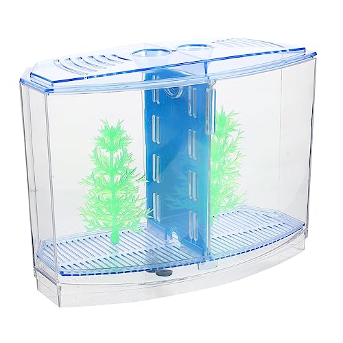 BESPORTBLE 1Satz Aquarium aus Kleiner Fischtank für Goldfische und Pflanzen und Kreativ für Hochzeiten und Bastelprojekte BESPORTBLE 1Satz Aquarium aus Kleiner Fischtank für Goldfische und Pflanzen und Kreativ für Hochzeiten und Bastelprojekte von BESPORTBLE