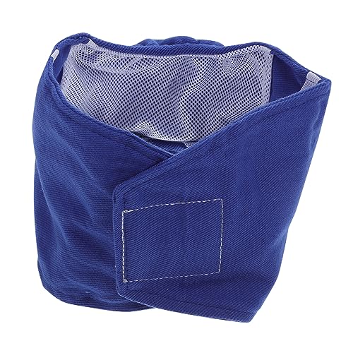 BESPORTBLE 1Stk Hygieneunterwäsche für Haustiere Hunde Unterhose hundewindel hundekostüme Pinkelwickel für ännliche Hunde Windel für Rüden Hygieneunterwäsche für ännliche Hunde Blue von BESPORTBLE