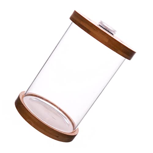 BESPORTBLE 1stück Mini Fisch Tank Mit Holzdeckel Aquarium Für Fische Und Garnelen Dekorative Tischgestaltung Mit Buntem -licht Stabiler Holzbasis Für Zuhause Oder Büro BESPORTBLE 1stück Mini Fisch Tank Mit Holzdeckel Aquarium Für Fische Und Garnelen Dekorative Tischgestaltung Mit Buntem -licht Stabiler Holzbasis Für Zuhause Oder Büro von BESPORTBLE