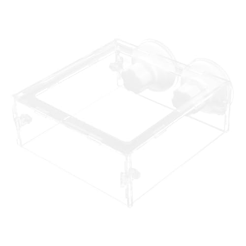 BESPORTBLE 1Stk Futterring für Aquarien Ringfeeder für Aquarien Aquarium-Futterspender mit Saugnapf Automatic Fish Feeder Futterautomat für Fische Werkzeug Betta-Aquarium Fischfutter BESPORTBLE 1Stk Futterring für Aquarien Ringfeeder für Aquarien Aquarium-Futterspender mit Saugnapf Automatic Fish Feeder Futterautomat für Fische Werkzeug Betta-Aquarium Fischfutter von BESPORTBLE