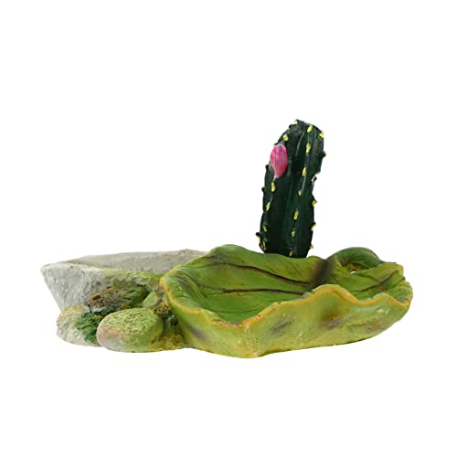 BESPORTBLE Reptilien-Wasser- Und Futternapf-Set Eidechsen-futternapf Schildkröten-futternapf Reptilien-futternapf Reptilienbecken Für Haustiere von BESPORTBLE
