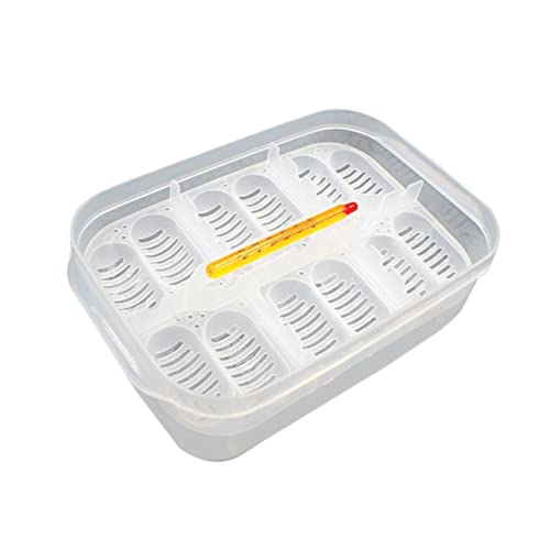 BESPORTBLE Zucht-isolationsbox Für Echsen Mit Thermometer Transparente Brutkammer Für Schlangen Reptilieneier Fächer Leicht Zu Reinigen Wiederverwendbar von BESPORTBLE