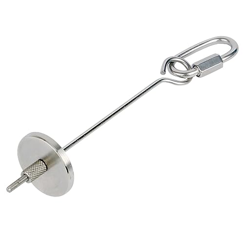 BESPORTBLE 1stk Vogelfütterer Halter Für Obst-gemüse-Sticks Halter Für Vogelfutterstäbchen Wachtel Essen Papageiensitzstangen Vogelspieß Papageienglockenspielzeug Huhn Silver Rostfreier Stahl von BESPORTBLE
