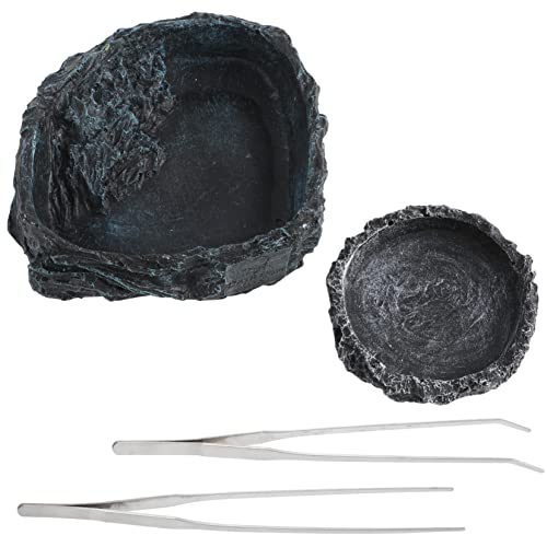 BESPORTBLE 2-teiliges Futter- Und Wassernapf-Set Für Reptilien Schildkröten Eidechsen Und Bartagamen Mit Stein Und BESPORTBLE 2-teiliges Futter- Und Wassernapf-Set Für Reptilien Schildkröten Eidechsen Und Bartagamen Mit Stein Und von BESPORTBLE
