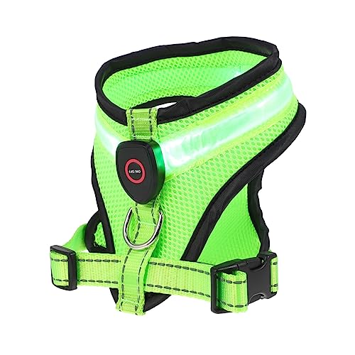 BESPORTBLE 2 Sets Hunde Leuchtweste Hunde Leuchtweste Welpenweste Kit Weste Hunde LED Weste Katze Hundeweste LED Hundeweste Hundeweste Kostü Sommer Hundeweste Haustier von BESPORTBLE