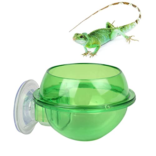 BESPORTBLE Wasserspender Für Reptilien Aus Kunststoff Trinkhilfe Für Reptilien Einfache Installation Und Reinigung BESPORTBLE Wasserspender Für Reptilien Aus Kunststoff Trinkhilfe Für Reptilien Einfache Installation Und Reinigung von BESPORTBLE