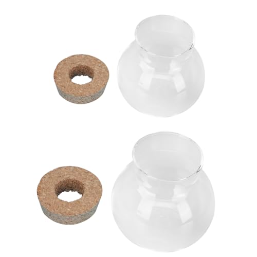 BESPORTBLE 2 Stück Glasvase Mini-Blumentöpfe dekorativ klare Gläser Zylindervase sztuczne kwiaty hochzeitsdeko vases Dekoration Vintage-Deko Ziervase aus Glas Vasendekor für den Haushalt Kork BESPORTBLE 2 Stück Glasvase Mini-Blumentöpfe dekorativ klare Gläser Zylindervase sztuczne kwiaty hochzeitsdeko vases Dekoration Vintage-Deko Ziervase aus Glas Vasendekor für den Haushalt Kork von BESPORTBLE