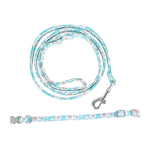 BESPORTBLE 2 Stück Haustierhalsband Zugseil Haustier Trainingsleine Hundelaufleine Haustierleine Verstellbares Halsband BESPORTBLE 2 Stück Haustierhalsband Zugseil Haustier Trainingsleine Hundelaufleine Haustierleine Verstellbares Halsband von BESPORTBLE