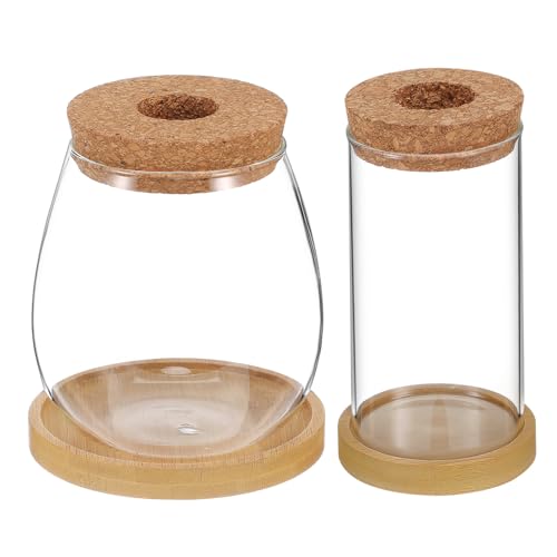 BESPORTBLE 2stücke Anzuchtröhren Aus Glas Mit Korkdeckeln Und Tabletts Hydrokulturvasen Pflanzenterrarien Für Anzucht Und Innengärten BESPORTBLE 2stücke Anzuchtröhren Aus Glas Mit Korkdeckeln Und Tabletts Hydrokulturvasen Pflanzenterrarien Für Anzucht Und Innengärten von BESPORTBLE