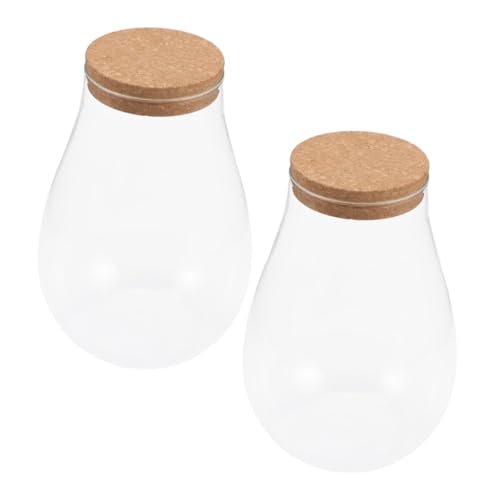 BESPORTBLE 2 Stück Hydrokulturpflanzen Zimmerpflanzen Terrarium Landschaftsbehälter Moos Ökologische Flasche Terrarium Glasbehälter Pflanzenflasche Leeres Terrarium Glas Leere von BESPORTBLE