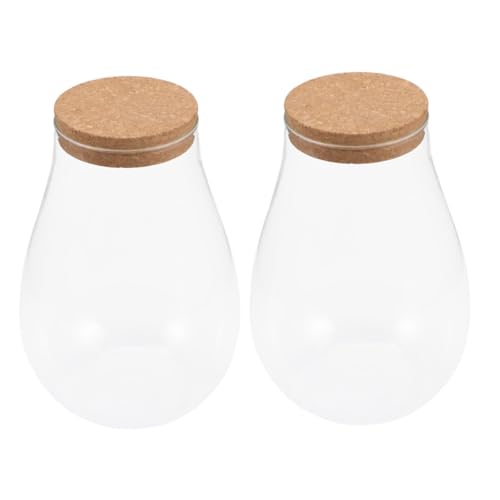 BESPORTBLE 2 Stück Hydrokulturpflanzen innerspace offic Indoor Plants wassersparender Terrarium unterschrank Decor drinnen leeres Terrarium Moos ökologische Flasche transparente Flasche Glas von BESPORTBLE