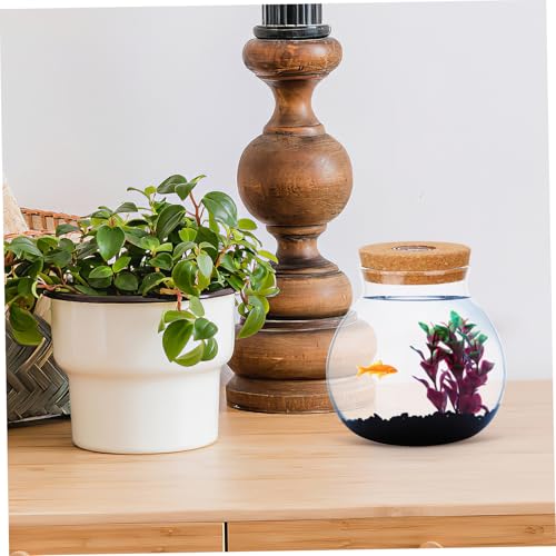 BESPORTBLE 2 Stück Led-Glas-Flasche Mikrolandschaft mit Led-weißlicht Multifunktionaler Ökologischer Flaschengarten und Dekoration für Zuhause Sicht klarer Blick DIY Landschaftsbau BESPORTBLE 2 Stück Led-Glas-Flasche Mikrolandschaft mit Led-weißlicht Multifunktionaler Ökologischer Flaschengarten und Dekoration für Zuhause Sicht klarer Blick DIY Landschaftsbau von BESPORTBLE