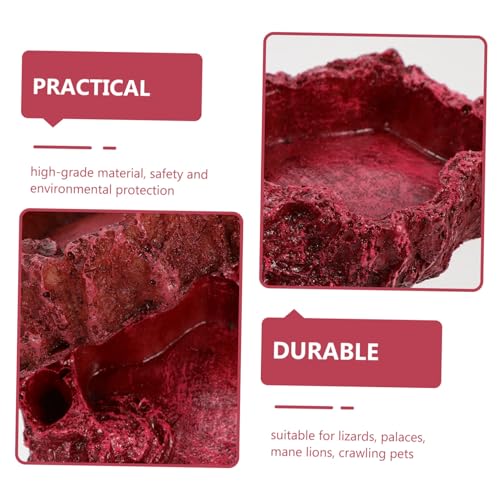 BESPORTBLE 2 Stück Reptilien Futter Wasserschale aus Hochwertigem Harz Natürliche Farbe für Terrarien Sicher für Schlangen Eidechsen Schildkröten und Amphibien Langlebig und Leicht zu BESPORTBLE 2 Stück Reptilien Futter Wasserschale aus Hochwertigem Harz Natürliche Farbe für Terrarien Sicher für Schlangen Eidechsen Schildkröten und Amphibien Langlebig und Leicht zu von BESPORTBLE
