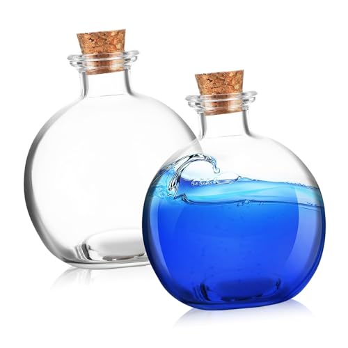 BESPORTBLE 2 Stück treibende Flasche vorratsbehälter aufbewahrungsbehälter Krüge mit Deckel Terrarium für fleischfressende Pflanzen einmachgläser Moos Terrarium Pflanzenterrarium Glas von BESPORTBLE