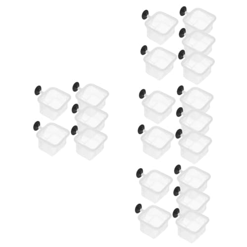 BESPORTBLE 20 STK Isolationsnetz Für Aquarien Trennwand Für Aquarien Inkubator Zum Laichen Von Fischen Garnelenzuchtnetz Aquarienfischnetz Trennnetz Für Aquarien Zuchtbecken Weiß Nylon BESPORTBLE 20 STK Isolationsnetz Für Aquarien Trennwand Für Aquarien Inkubator Zum Laichen Von Fischen Garnelenzuchtnetz Aquarienfischnetz Trennnetz Für Aquarien Zuchtbecken Weiß Nylon von BESPORTBLE