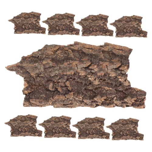 BESPORTBLE 20St Reptiliendekoration Reptilien-Terrarium-Rindendekor Hintergrund des Schlangenpanzers Reptilien Terrarium Reptilien Hintergrund Baumrinde-Terrarium-Hintergrund Rinde Holz BESPORTBLE 20St Reptiliendekoration Reptilien-Terrarium-Rindendekor Hintergrund des Schlangenpanzers Reptilien Terrarium Reptilien Hintergrund Baumrinde-Terrarium-Hintergrund Rinde Holz von BESPORTBLE