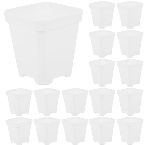 BESPORTBLE 20stücke Sukkulententöpfe Kunststoff Kleine Blumentöpfe Für Anzucht Und Pflege Von Pflanzen Mit Drainagelöchern Für Wachstum Und Einfache Handhabung BESPORTBLE 20stücke Sukkulententöpfe Kunststoff Kleine Blumentöpfe Für Anzucht Und Pflege Von Pflanzen Mit Drainagelöchern Für Wachstum Und Einfache Handhabung von BESPORTBLE