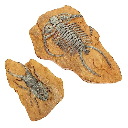 BESPORTBLE 2stücke Reptilien-Dekorationen Für Terrarien Kreative Fossilien-Boxen Aus Hochwertigem Harz Landschafts-Accessoires Für Schlangen Und Reptilien Langlebig Und BESPORTBLE 2stücke Reptilien-Dekorationen Für Terrarien Kreative Fossilien-Boxen Aus Hochwertigem Harz Landschafts-Accessoires Für Schlangen Und Reptilien Langlebig Und von BESPORTBLE