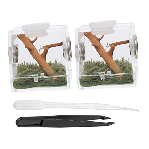 BESPORTBLE 2Satz Spinnen Habitat Box Transparente Insekten Aufzuchtbox Für Kleine Haustiere Belüftet Und Die Pflege Von Springspinnen Und Insekten BESPORTBLE 2Satz Spinnen Habitat Box Transparente Insekten Aufzuchtbox Für Kleine Haustiere Belüftet Und Die Pflege Von Springspinnen Und Insekten von BESPORTBLE