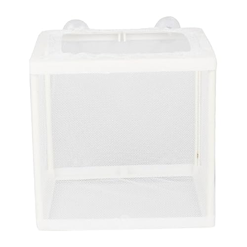 BESPORTBLE 2St Aquarium Inkubator Fischzucht Brüterei Fischernetz Zuchtnetz Trainingsstock für Hunde Trennwand für Aquarien Netz Aquariumzubehör Aquarien-Inkubator Plastik und von BESPORTBLE