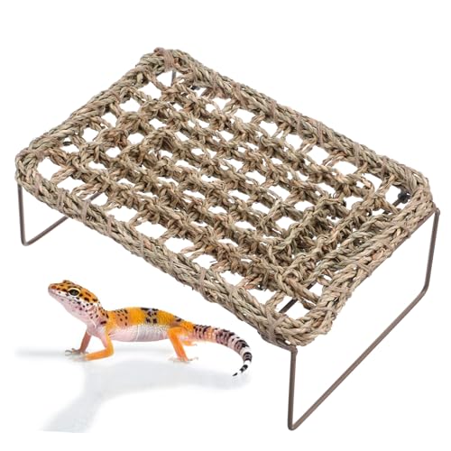 BESPORTBLE 2St Eidechsengrasmatte krabbelndes Haustierkissen bärtige Drache-Panzerdekoration bärtiges Drachenbett Lizard Lounge Hängematte Eidechsenliege Reptilienbett für Haustiere Stroh BESPORTBLE 2St Eidechsengrasmatte krabbelndes Haustierkissen bärtige Drache-Panzerdekoration bärtiges Drachenbett Lizard Lounge Hängematte Eidechsenliege Reptilienbett für Haustiere Stroh von BESPORTBLE