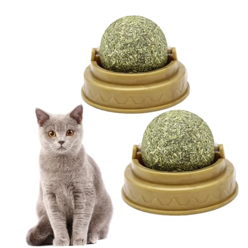 BESPORTBLE 2stücke Katzenminze Lickball Nahrhafte Essbare Snacks Verdauung Und Zahnpflege Für Katzen Spielzeug Für Interaktive Beschäftigung Sicher Und Schmackhaft BESPORTBLE 2stücke Katzenminze Lickball Nahrhafte Essbare Snacks Verdauung Und Zahnpflege Für Katzen Spielzeug Für Interaktive Beschäftigung Sicher Und Schmackhaft von BESPORTBLE