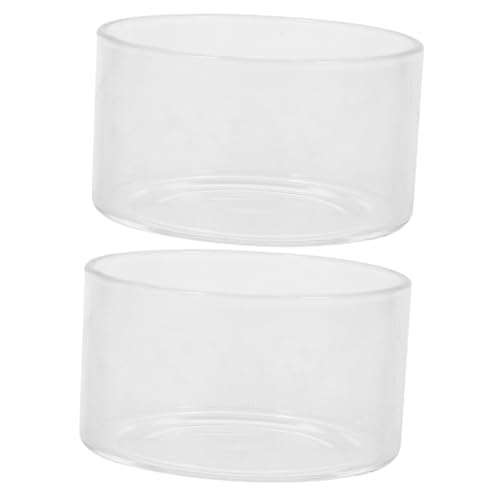 BESPORTBLE 2St Mikrolandschaftspflanzen Pflanzterrarium Mikro-Landschaftsflasche Glasterrarium zimmerpflanzen Vase blumentöpfe Pflanzgefäße aus Glas klare Töpfe für Pflanzen Transparent BESPORTBLE 2St Mikrolandschaftspflanzen Pflanzterrarium Mikro-Landschaftsflasche Glasterrarium zimmerpflanzen Vase blumentöpfe Pflanzgefäße aus Glas klare Töpfe für Pflanzen Transparent von BESPORTBLE
