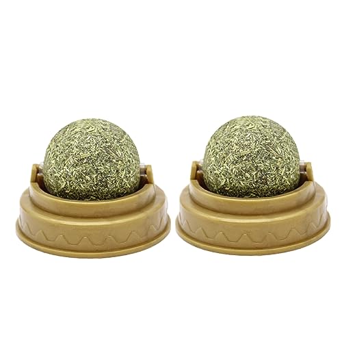 BESPORTBLE 2stücke Edible Catnip Ball Für Katzen Kätzchensnacks Zur Zahnreinigung Und Verdauungsförderung Sicher Langlebig Und Süß Im Geschmack Für Gesunde Pflege Und Wohlbefinden von BESPORTBLE