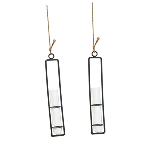 BESPORTBLE Einzigartiger Eisenrahmen Aus Glas 2 Stück Blumen Zur Dekoration BESPORTBLE Einzigartiger Eisenrahmen Aus Glas 2 Stück Blumen Zur Dekoration von BESPORTBLE
