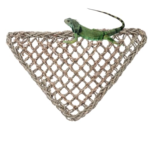 BESPORTBLE 2st Eidechsenschlafbett Haustier Katze Reptilien-hängematte Gecko-hängematte Matte Rattan- Hängematte Aus Grasfasern Rattan-hängematte BESPORTBLE 2st Eidechsenschlafbett Haustier Katze Reptilien-hängematte Gecko-hängematte Matte Rattan- Hängematte Aus Grasfasern Rattan-hängematte von BESPORTBLE