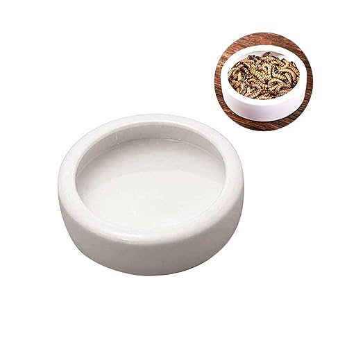 BESPORTBLE 2st Futternapf Container Essensteller Kletterndes Haustier Bienenstock Feeder Tierteller Wassernapf Für Reptilien Futterbecken Für Garnelen Haustiergeschenk Fressnapf Futterteller BESPORTBLE 2st Futternapf Container Essensteller Kletterndes Haustier Bienenstock Feeder Tierteller Wassernapf Für Reptilien Futterbecken Für Garnelen Haustiergeschenk Fressnapf Futterteller von BESPORTBLE