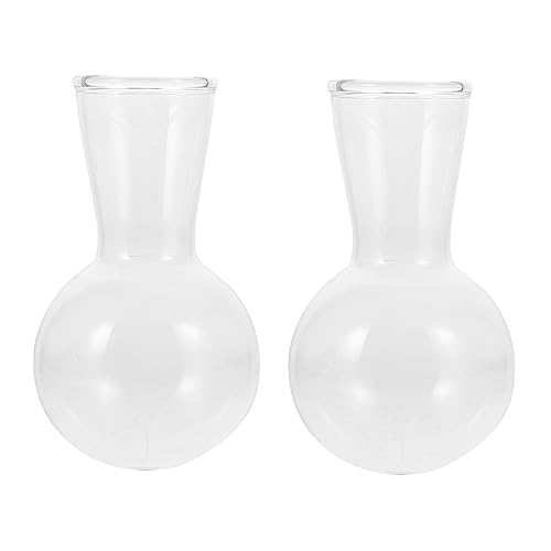 BESPORTBLE Hydroponisches Blumentopf-Set Aus Glas Kreative Flaschenvase Aus Glas Hydroponische Blumenvase für Die Heimdekoration von BESPORTBLE