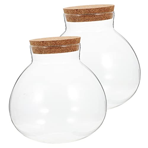 BESPORTBLE 2st Ökologische Mikrolandschaftsflasche Klarer Blasenpflanzer Zuckerbohnenflaschen Hydrokultur-pflanzgefäß Moos Für Pflanzen Luftpflanzenvase Kugelvase Vasen Algenball Kork Glas von BESPORTBLE