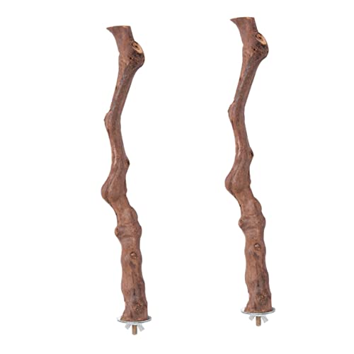 BESPORTBLE 2 Stück Papageien-spielstangen Aus Holz Vogelsitzstangen-Spielzeug Für Zimmervögel Drehbare Sitzstangenständer Für Nymphensittiche Papageien Sittiche Und Vögel Öko-Material von BESPORTBLE