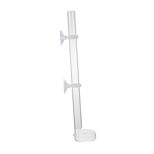 BESPORTBLE 3 Sets Aquarium Werkzeug Acryl Dish Cup Installieren Geeignet für Süßwasser von BESPORTBLE